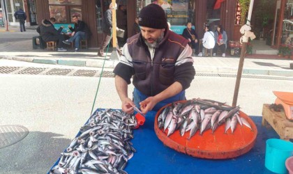 Denizden çıkan balık azaldı, fiyatlar arttı