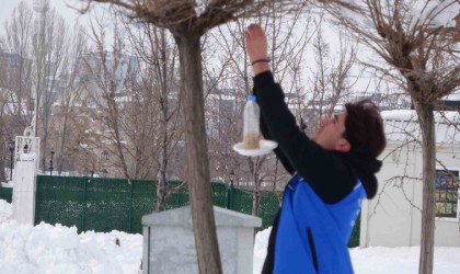 Dondurucu soğuklarda yaban hayvanları unutulmadı