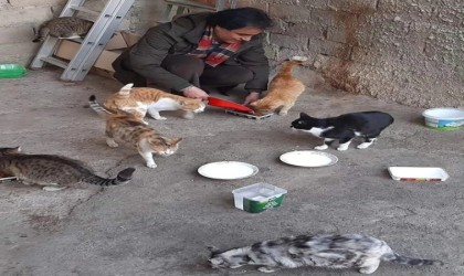 Elazığda hayvan sever vatandaş ,sokak hayvanlarına gözü gibi bakıyor