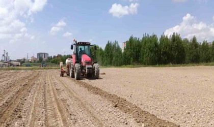 Niğde Patates Araştırma Enstitüsüne işçi alınacak