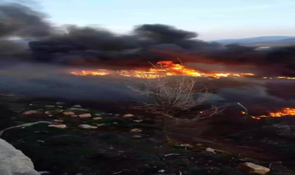 Tokatta ot yangını korkuttu