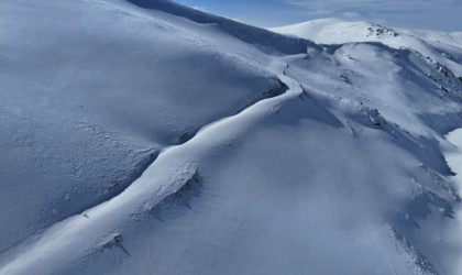 Uzungölün zirvelerinde dronla tilkiyi saniye saniye takip etti