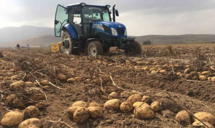 Ziraat Odası Başkanı Kenar: Patates fiyatlarında artış yok