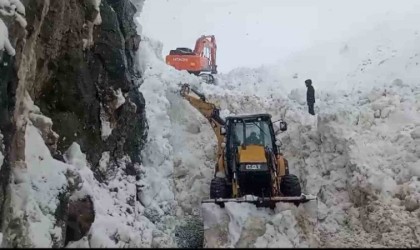 Beytüşşebapta yaylada kalan ailelerin karla kaplı yolunu açma çalışmaları sürüyor