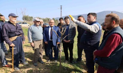 Bilecikli çiftçilere ağaç budama eğitimi verildi