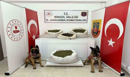 Bingöl 57 kilo uyuşturucu ele geçirildi