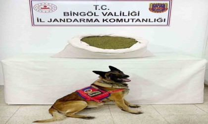 Bingölde 18,5 kilo toz esrar ele geçirildi