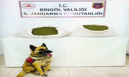 Bingölde 45 kilo esrar ele geçirildi