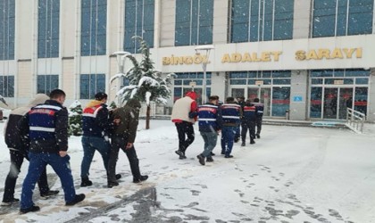 Bingölde motosiklet hırsızlığı: 6 gözaltı