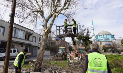 Dulkadiroğlunda budanan ağaçlar sosyal yardıma dönüşüyor