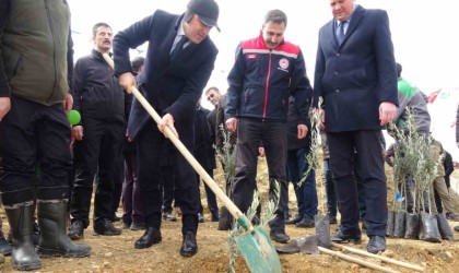 Dünya Ormancılık Gününde huzurevi bahçesine 2 bin fidan dikildi