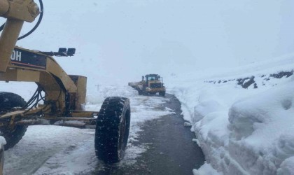 Hakkaride kapanan 191 yerleşim yolu yeniden açıldı