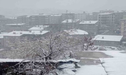 Hakkaride lapa lapa kar yağışı