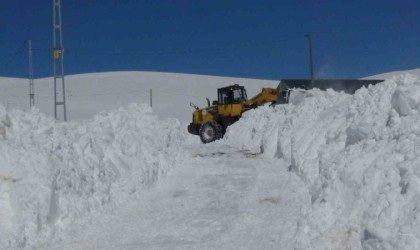 Karsta kar geçit vermiyor. 29 köy yolu ulaşıma kapandı