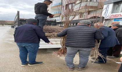 Muhtar adayı broşüryerine fidan dağıttı