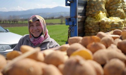 Patates diyarında çiftçiler ekim mesaisinde