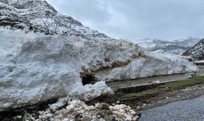 Pervari-Çatak yolu çığ nedeniyle ulaşıma kapandı