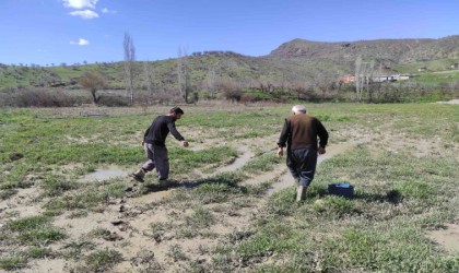 Sasonda şiddetli yağış sonrası dere taştı, çilek bahçesi su altında kaldı