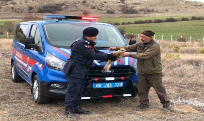 Yozgatta jandarmanın bulduğu yaralı kızıl şahin tedaviye alındı