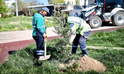 Aksarayda ağaç dikme seferberliği başlatıldı