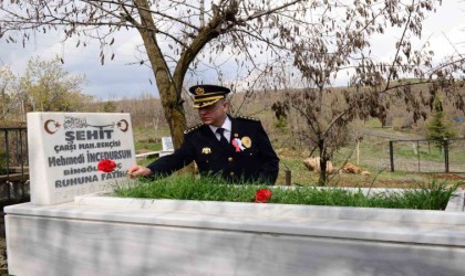 Bingölde emniyet mensupları, şehit kabirlerine karanfil bıraktı