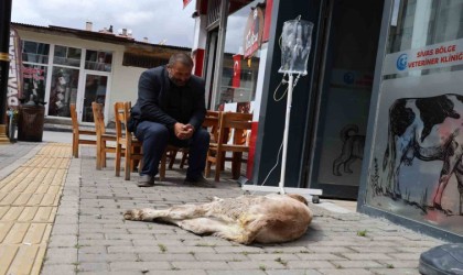 Dana Umutun sahibinin merhameti görenlerin içini ısıttı