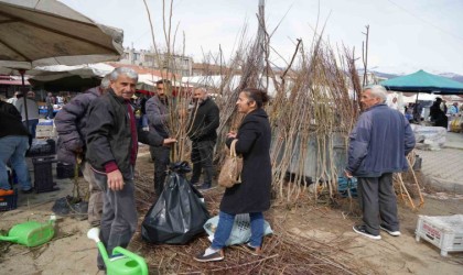 Erzincanda meyve fidanı satışı başladı