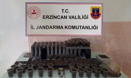 Erzincanda uyuşturucu operasyonu: 1 kişi tutuklandı