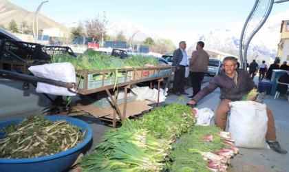 Hakkaride şifalı bitkilere büyük ilgi