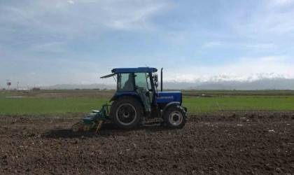 Muş Ovasında 635 bin ton şeker pancarı üretimi hedefleniyor