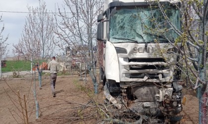 Niğdede yoldan çıkan tır bahçeye daldı