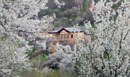 Tarihi mahallede bahar güzelliği