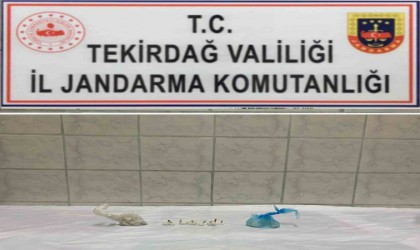 Tekirdağda uyuşturucu operasyonu 7 gözaltı