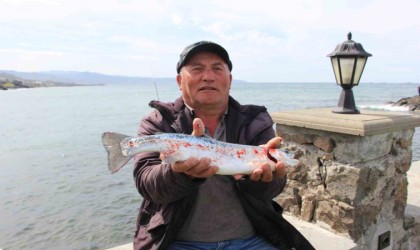 Trabzonun Çarşıbaşı ilçesi açıklarında somon kafesleri yırtıldı, oltasını alan sahile koştu