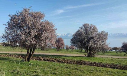 Vanda iki mevsim bir arada