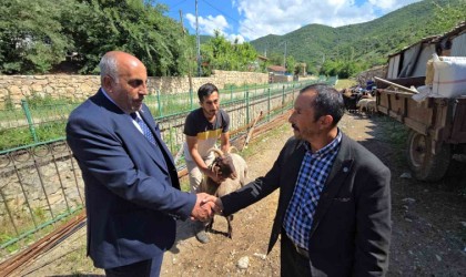 Ahırın lideri olan 4 boynuzlu koç, son başbakan Binali Yıldırıma hediye edilecek