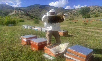 Batmanda hazırlıklarını tamamlayan arıcılar organik bal üretimi için yaylalara çıkıyor