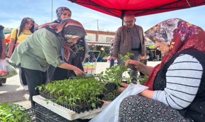 Bolu Belediyesinden üreticilere yerli fide desteği