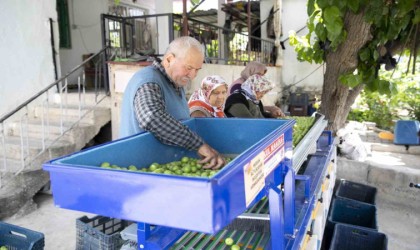 Büyükşehir Belediyesinden Mutlu üreticilere erik boylama makinesi desteği