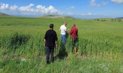 Dolu ve selden etkilenen köylerde zarar tespit çalışması başlatıldı