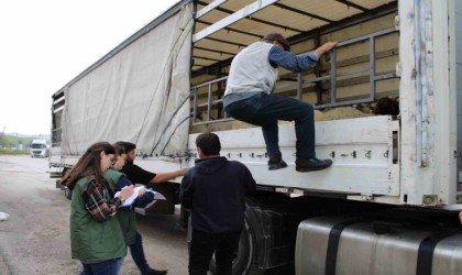 Erzincanda kurbanlık sevkine sıkı denetim