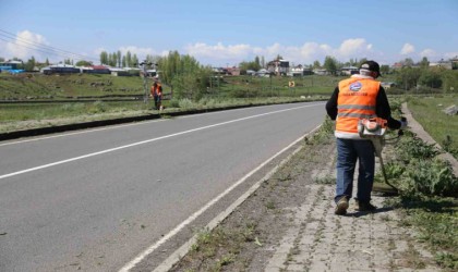 Karsta kaldırımlar yabani otlardan temizleniyor