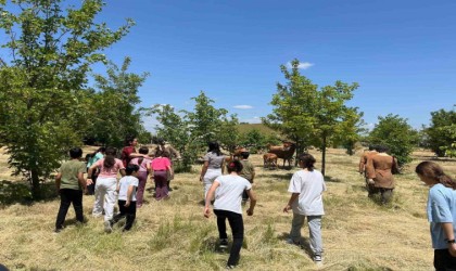 Kırklarelinde koruma altındaki çocuklara Aşağıpınar gezisi