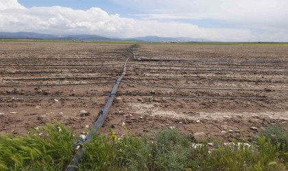 Niğdede üreticilere 110 milyon 216 bin 58 TLlik hibe desteği sağlanacak