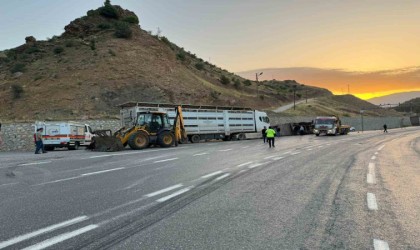 Siirtte tır devrildi: 2 kişi yaralandı, 40 küçükbaş hayvan telef oldu