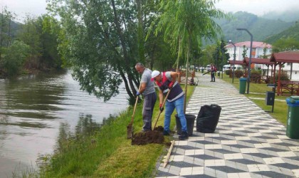 Turnasuyu Kordon Parkta yeşillendirme çalışmaları başlatıldı