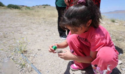 8 yaşındaki kızın, susuz kalan martı yavrusunu kurtarma mücadelesi yüreklere dokundu