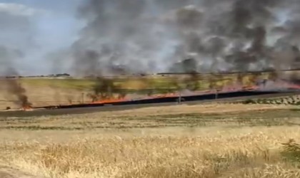 Adıyamanda 40 dönümlük buğday tarlası yandı