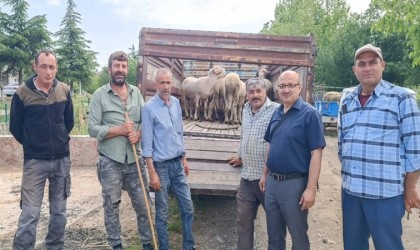 Afyonkarahisarda canlı hayvan taşımacılığına yönelik denetim