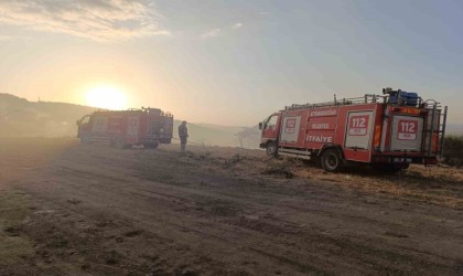 Afyonkarahisarda çıkan orman yangını 1 saatin sonunda söndürüldü